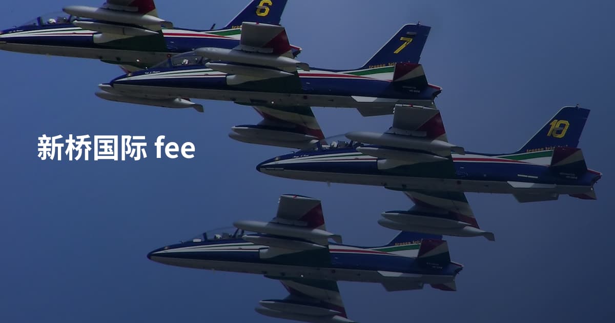 新桥国际 fee