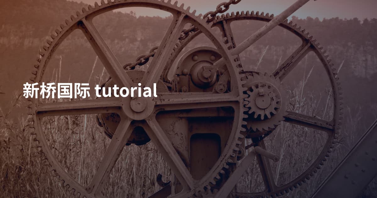新桥国际 tutorial
