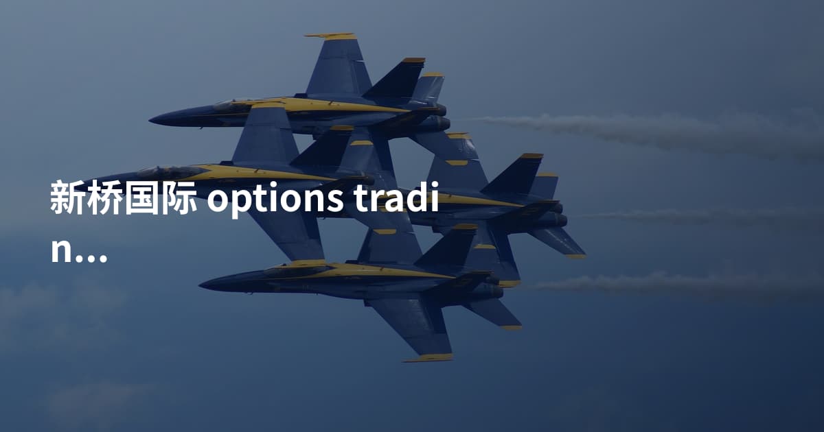 新桥国际 options trading