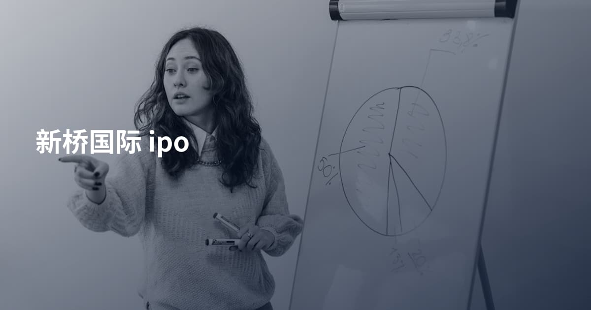 新桥国际 ipo