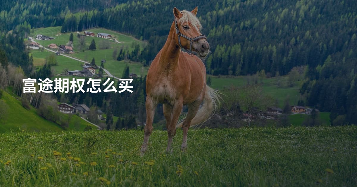 富途期权怎么买