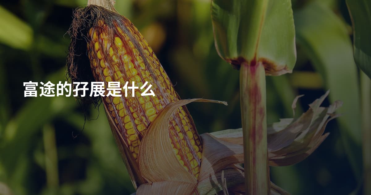 富途的孖展是什么