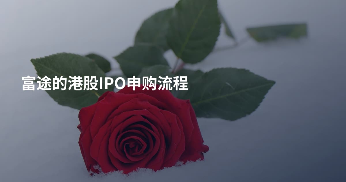 富途的港股IPO申购流程