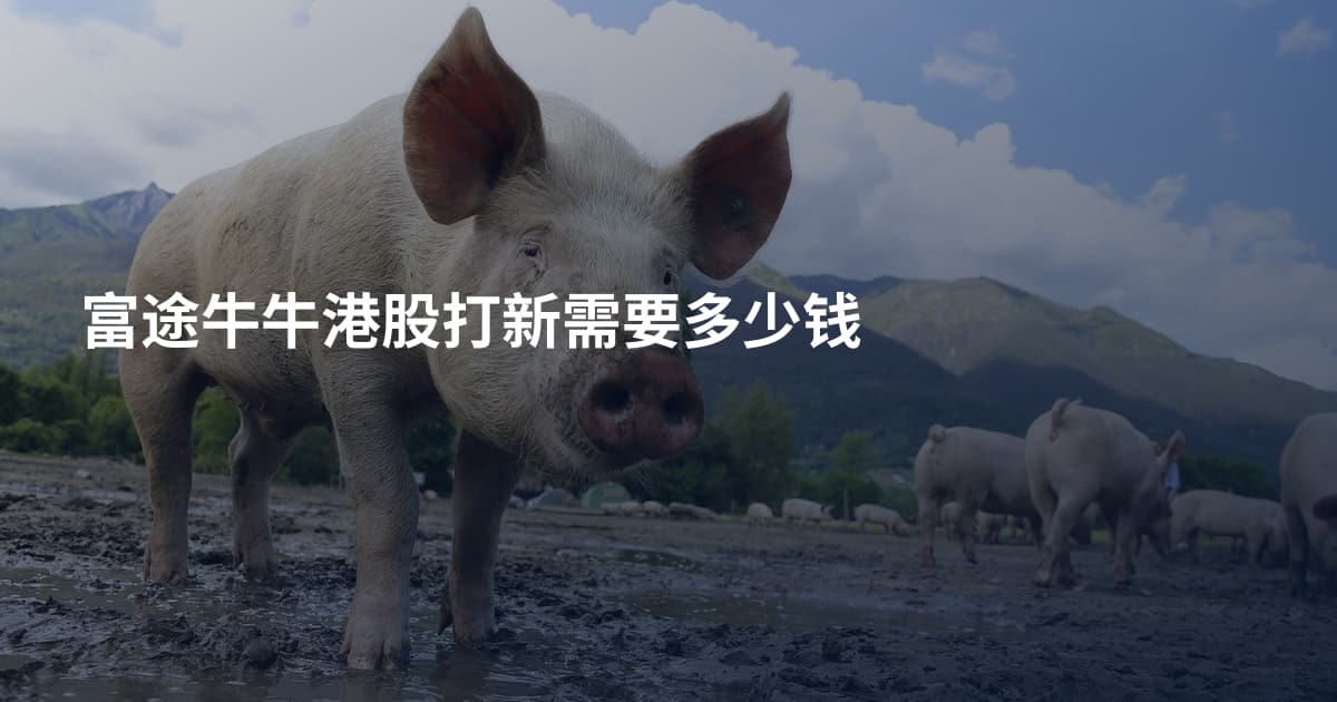 富途牛牛港股打新需要多少钱