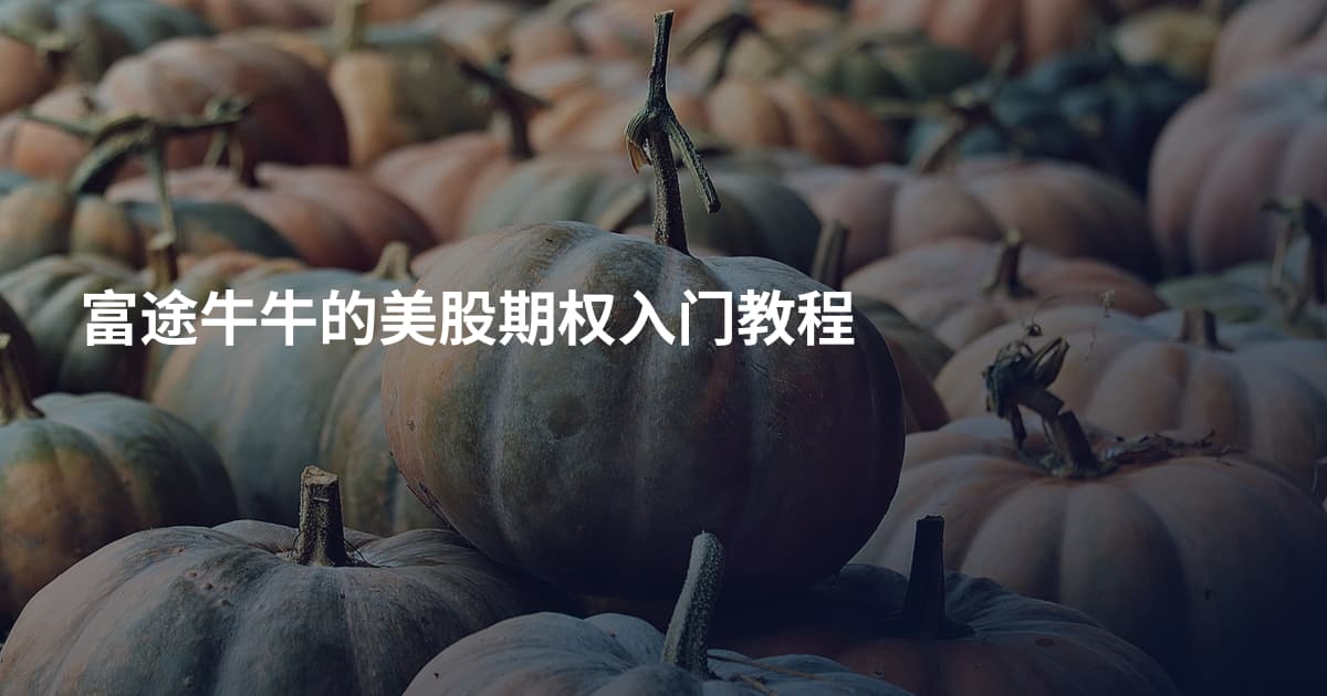 富途牛牛的美股期权入门教程
