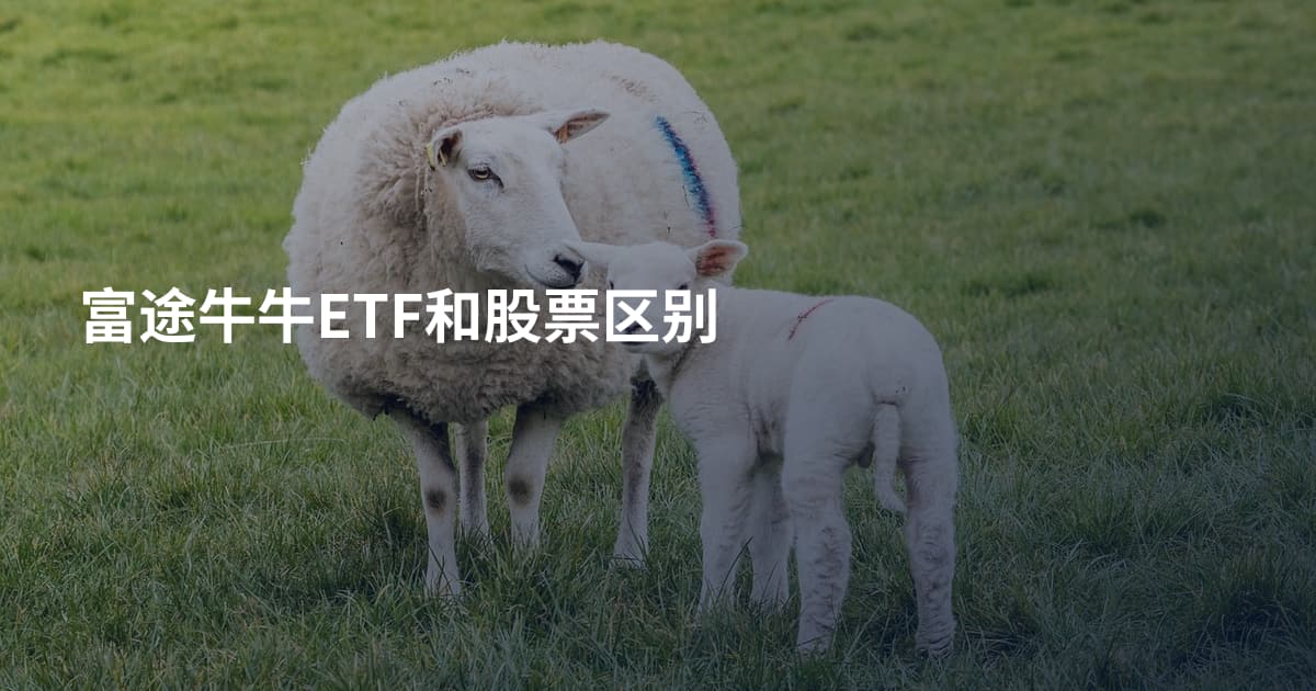 富途牛牛ETF和股票区别