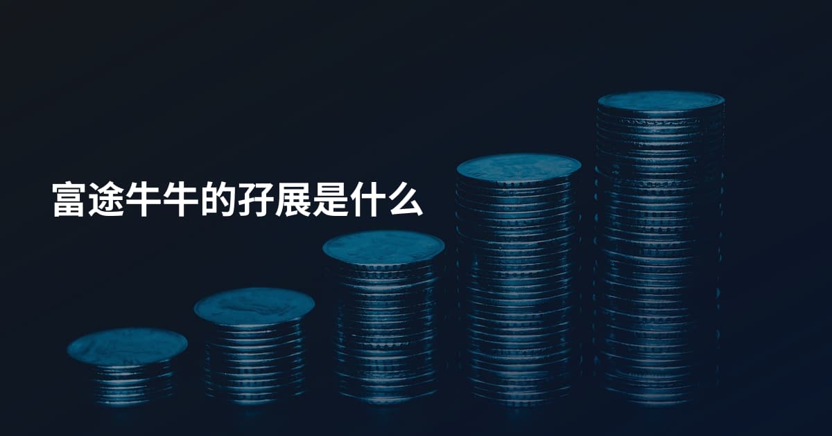富途牛牛的孖展是什么