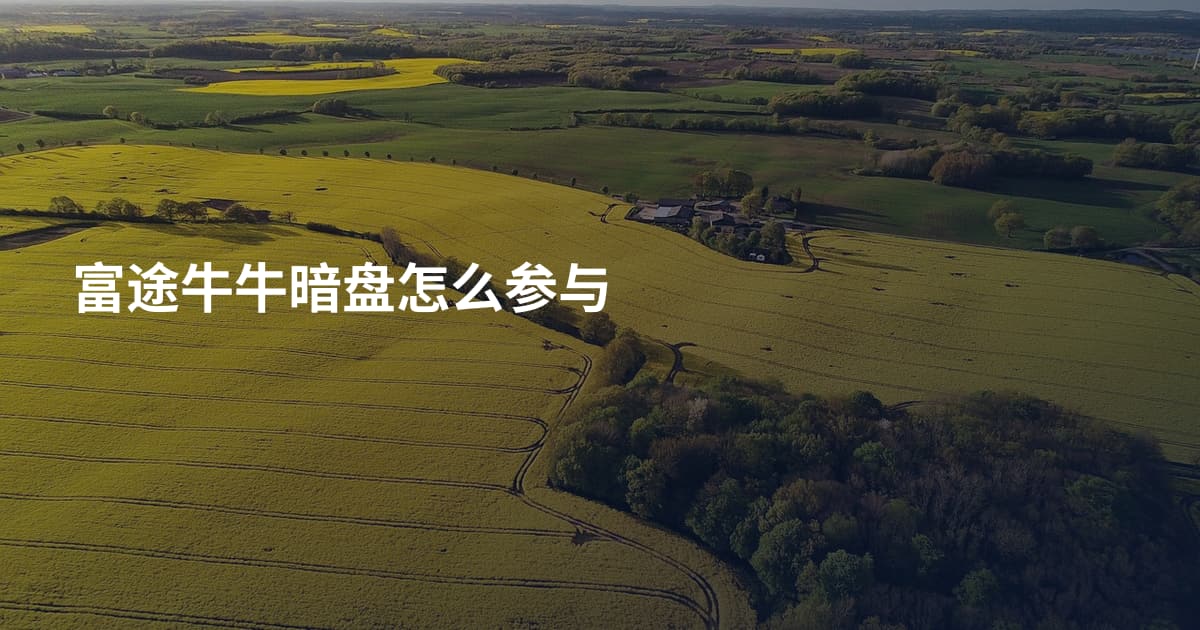 富途牛牛暗盘怎么参与