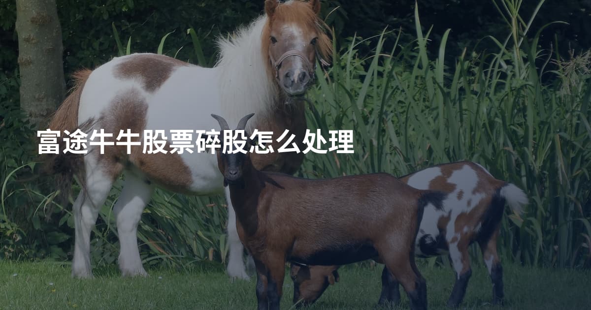 富途牛牛股票碎股怎么处理