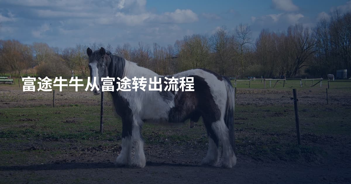富途牛牛从富途转出流程