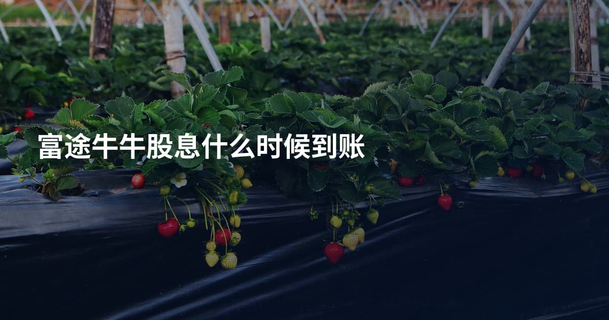 富途牛牛股息什么时候到账