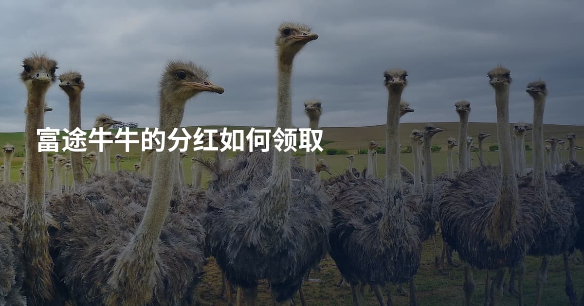 富途牛牛的分红如何领取