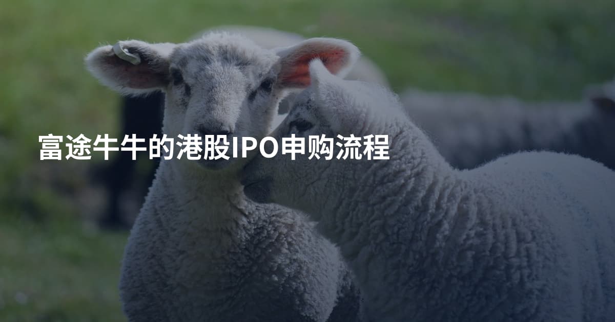富途牛牛的港股IPO申购流程