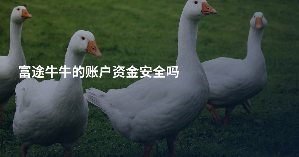 富途牛牛的账户资金安全吗