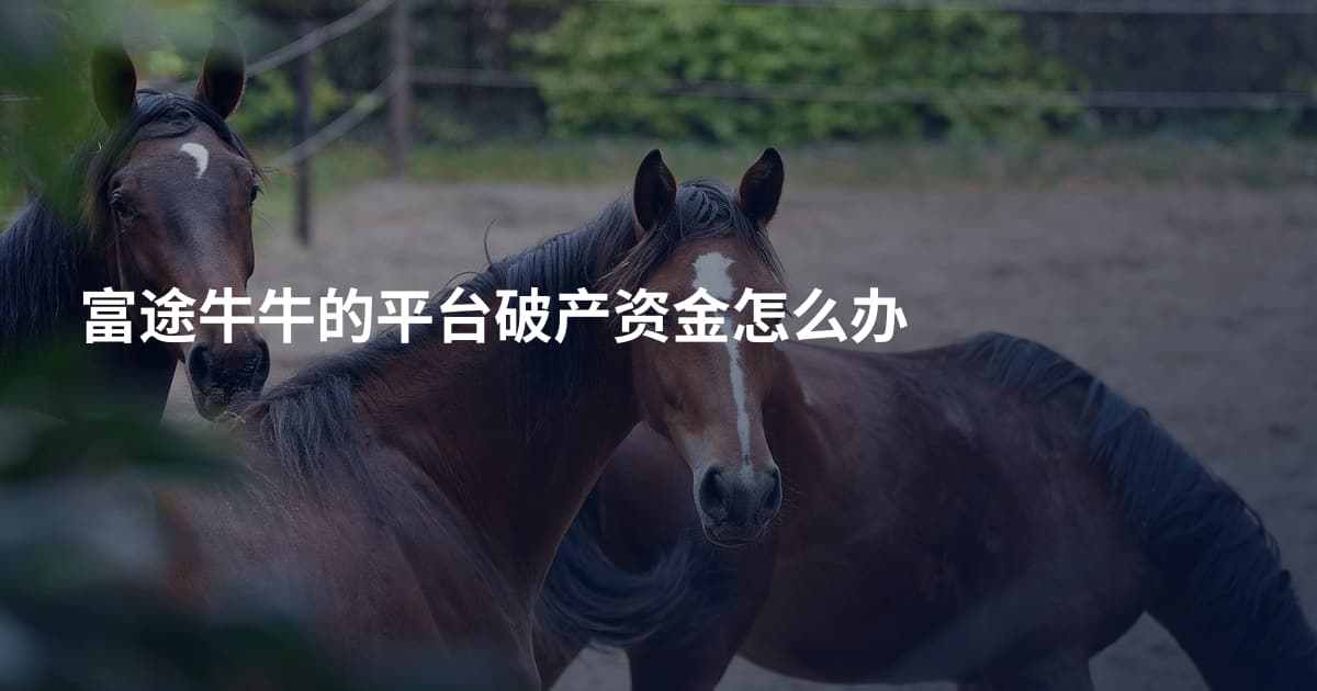 富途牛牛的平台破产资金怎么办