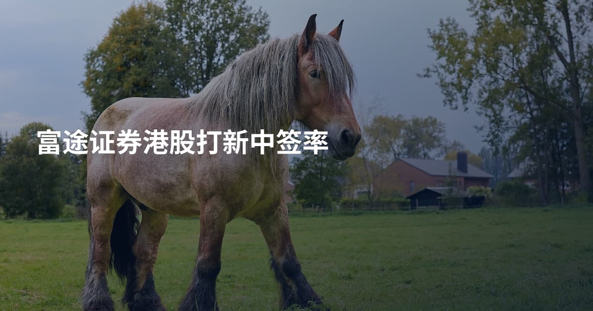 富途证券港股打新中签率