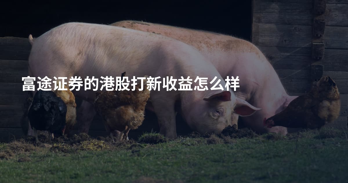 富途证券的港股打新收益怎么样