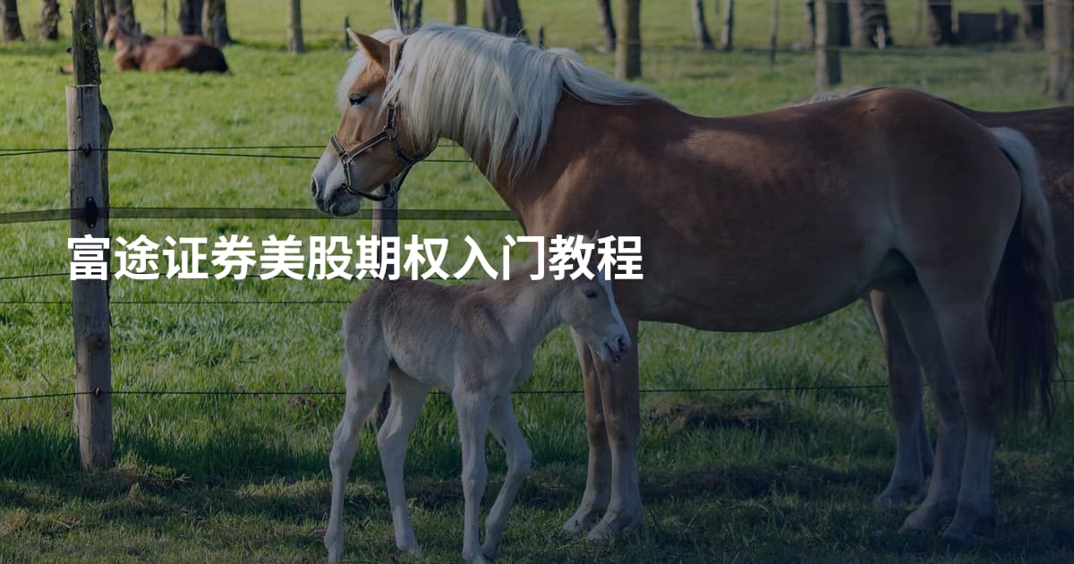 富途证券美股期权入门教程
