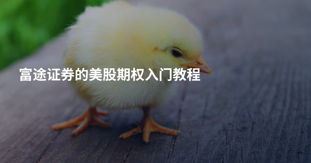 富途证券的美股期权入门教程