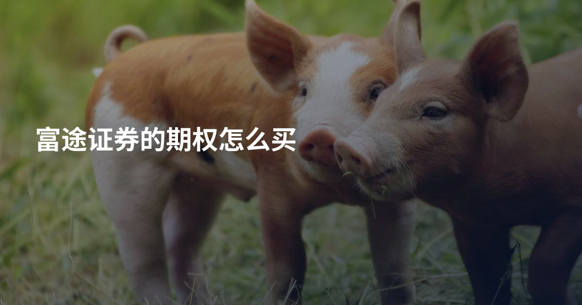 富途证券的期权怎么买