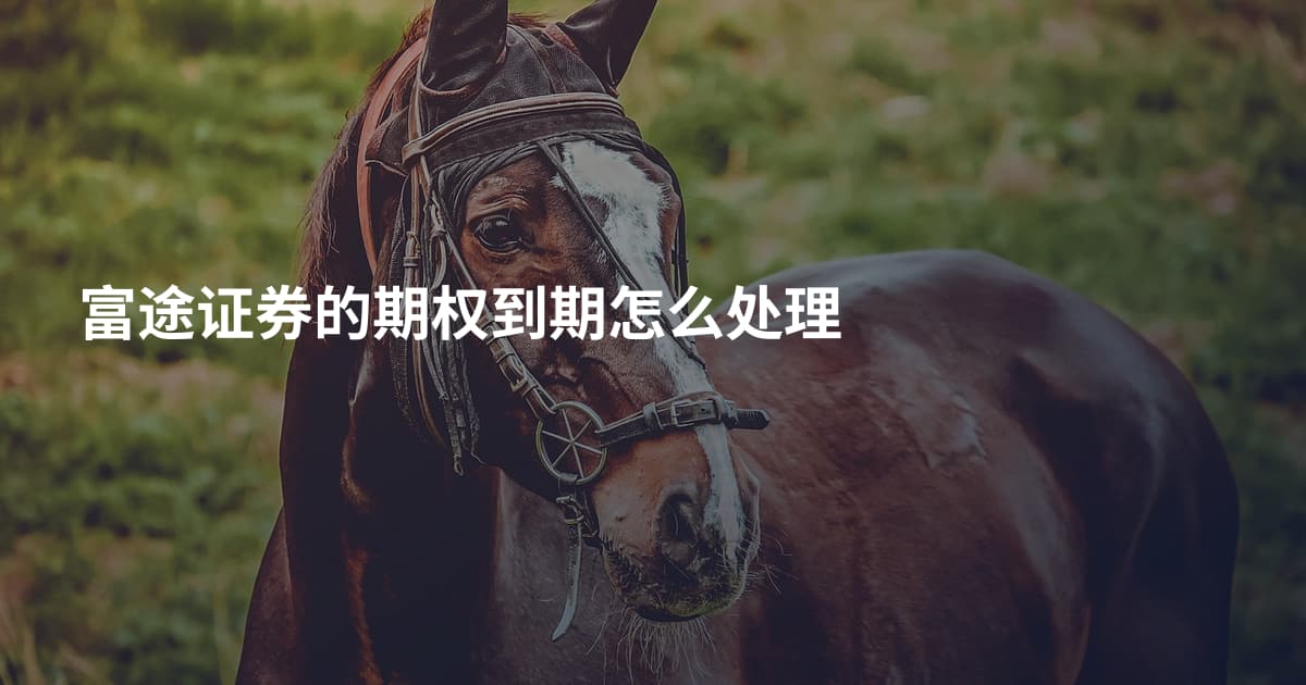 富途证券的期权到期怎么处理