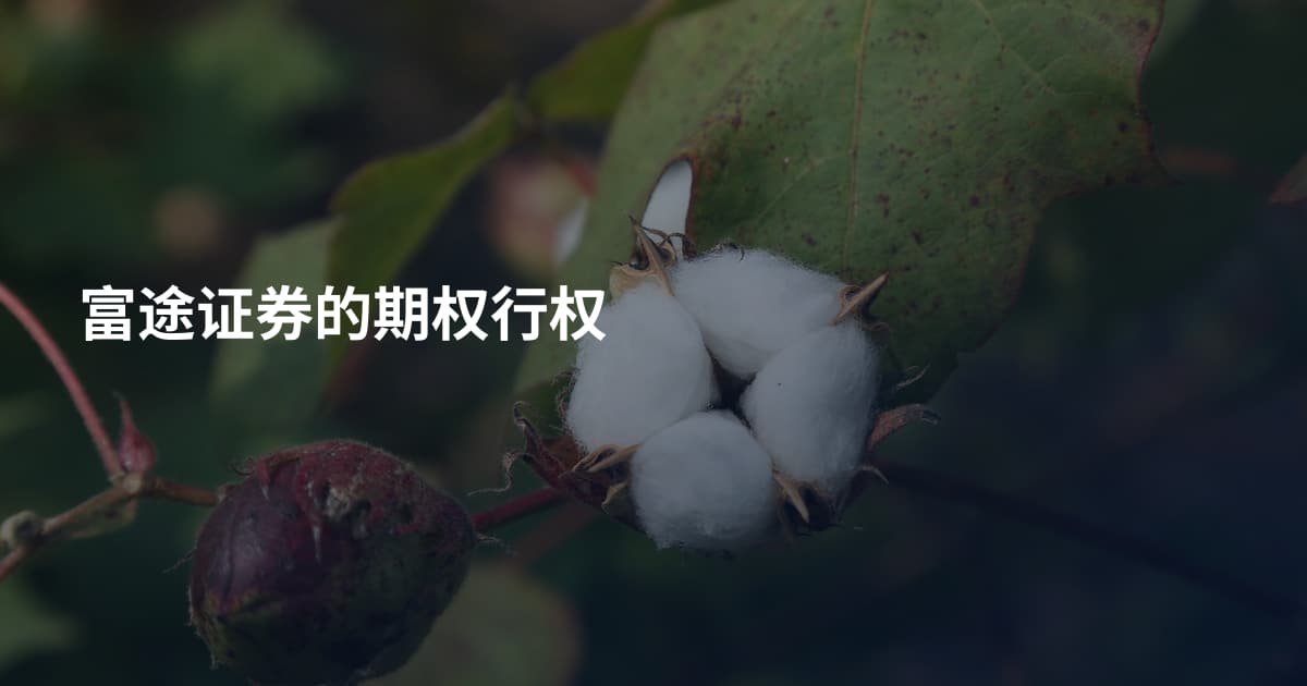 富途证券的期权行权