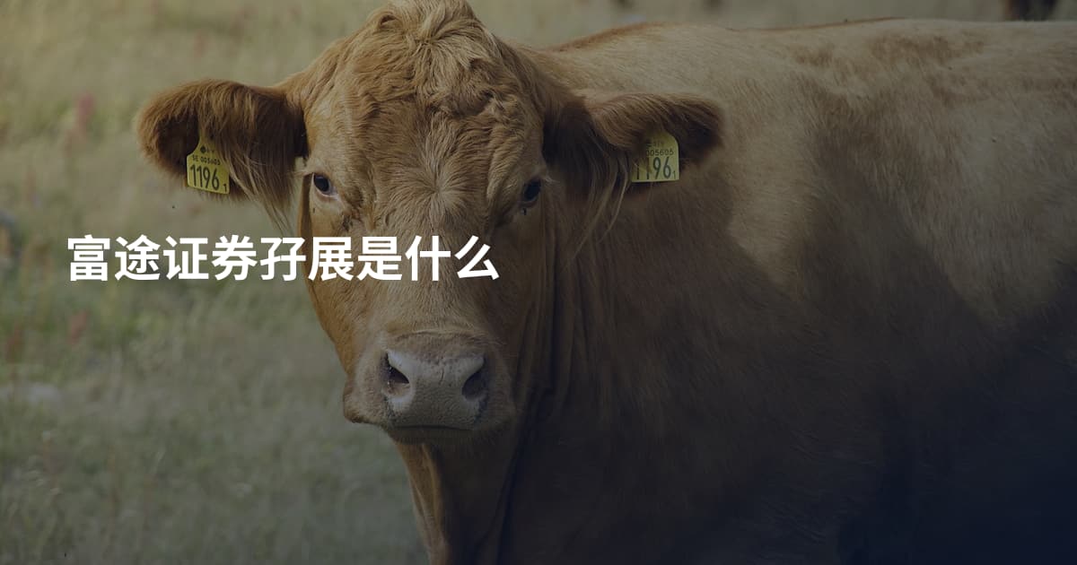富途证券孖展是什么