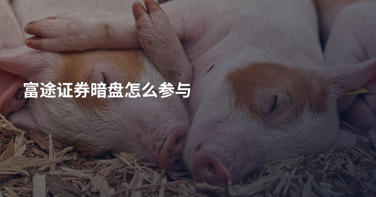 富途证券暗盘怎么参与