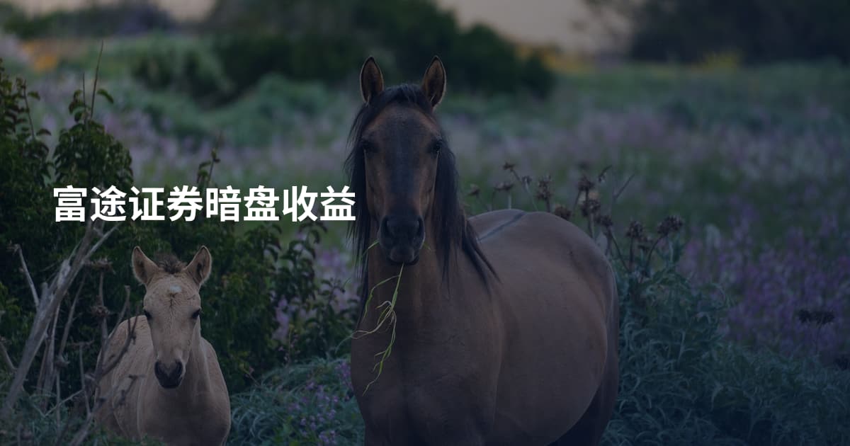 富途证券暗盘收益
