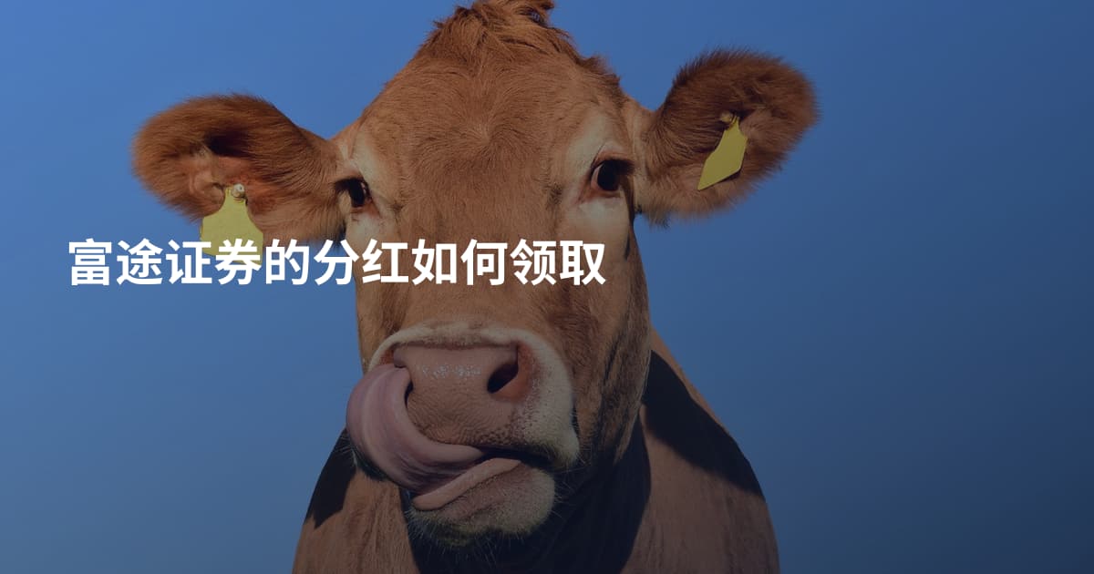 富途证券的分红如何领取