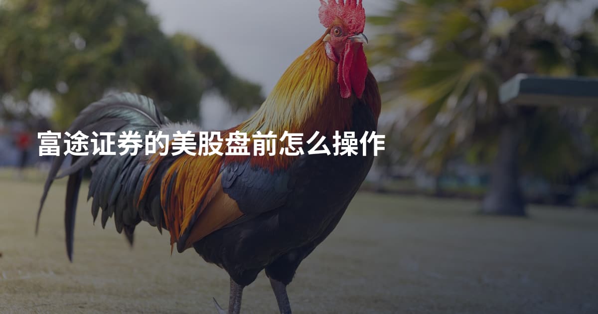 富途证券的美股盘前怎么操作