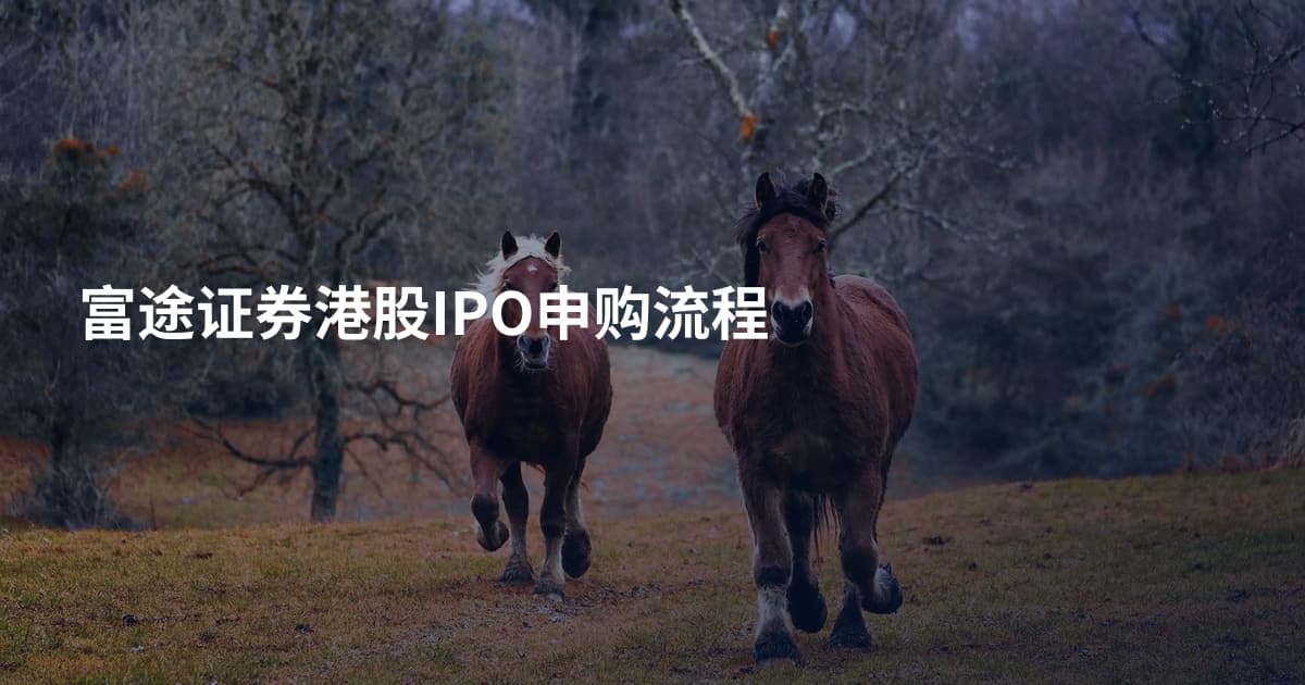 富途证券港股IPO申购流程