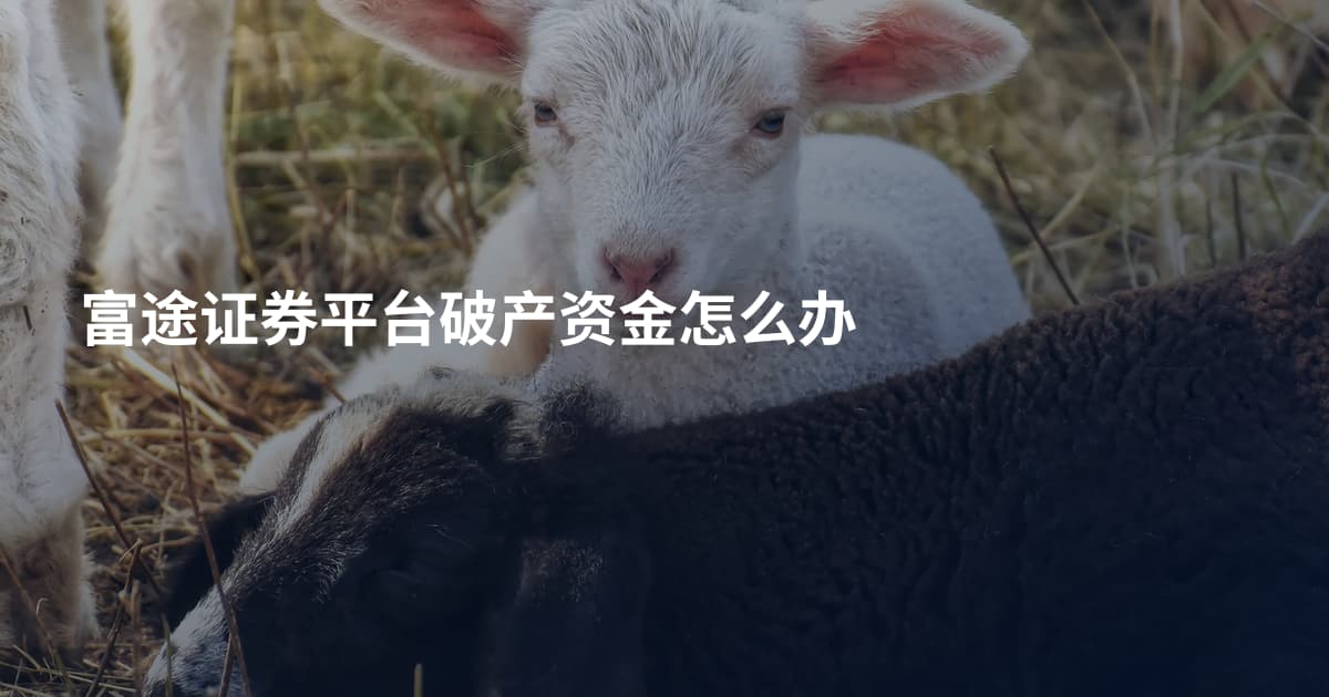 富途证券平台破产资金怎么办
