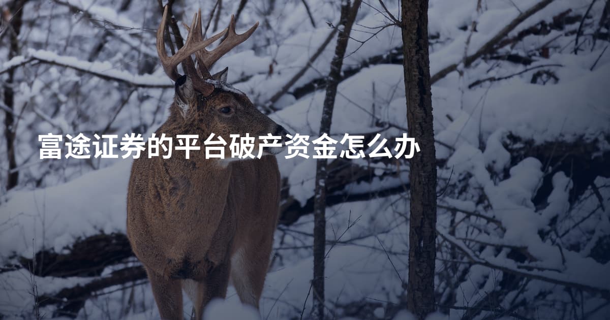 富途证券的平台破产资金怎么办