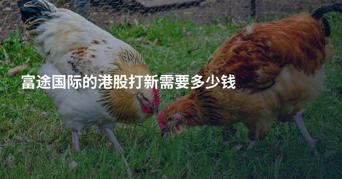 富途国际的港股打新需要多少钱