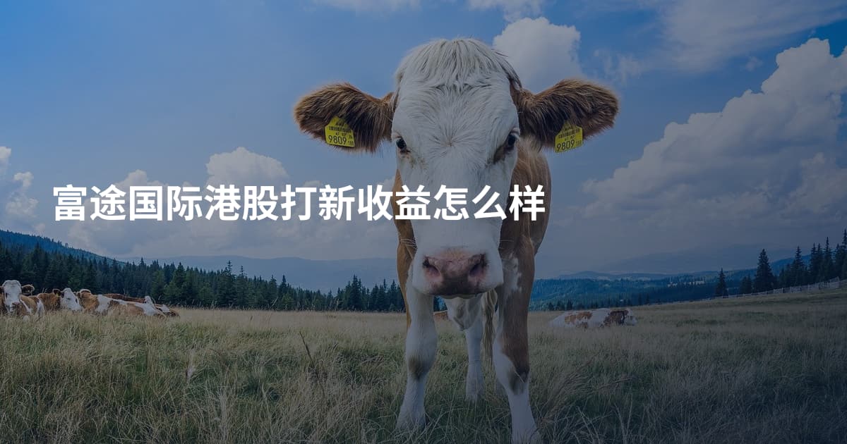 富途国际港股打新收益怎么样