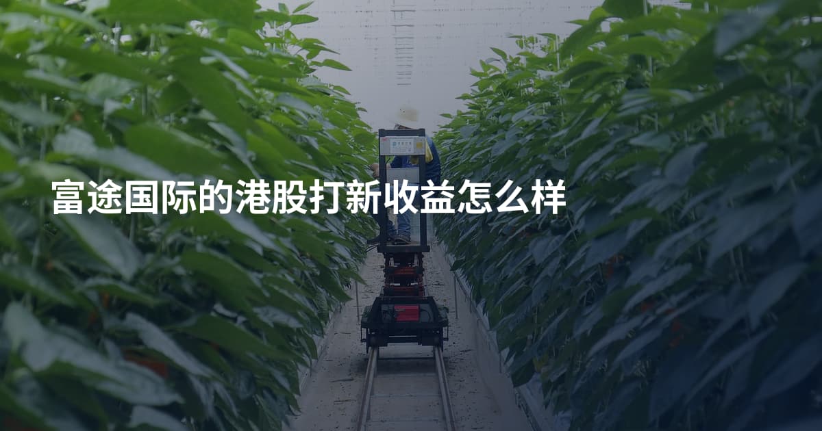 富途国际的港股打新收益怎么样