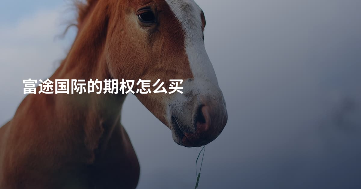 富途国际的期权怎么买