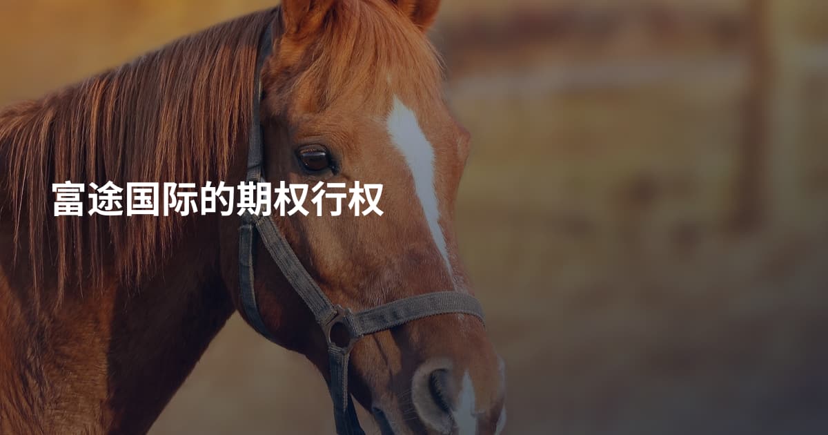富途国际的期权行权