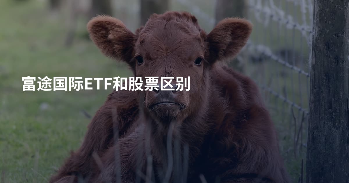 富途国际ETF和股票区别