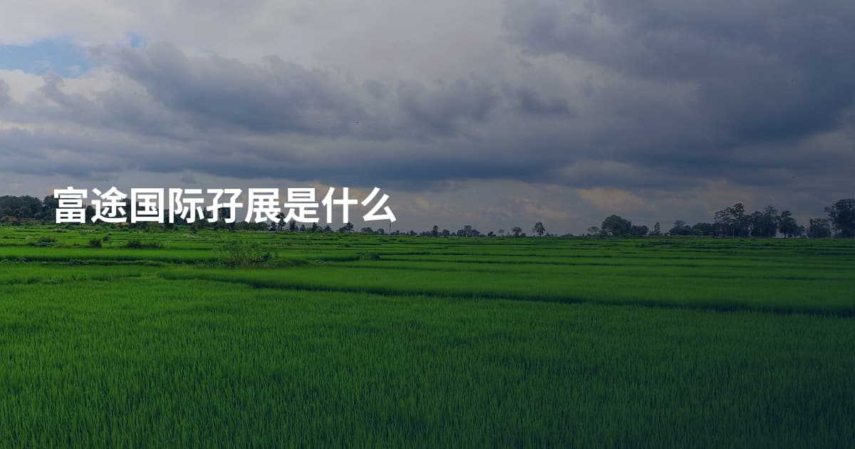 富途国际孖展是什么
