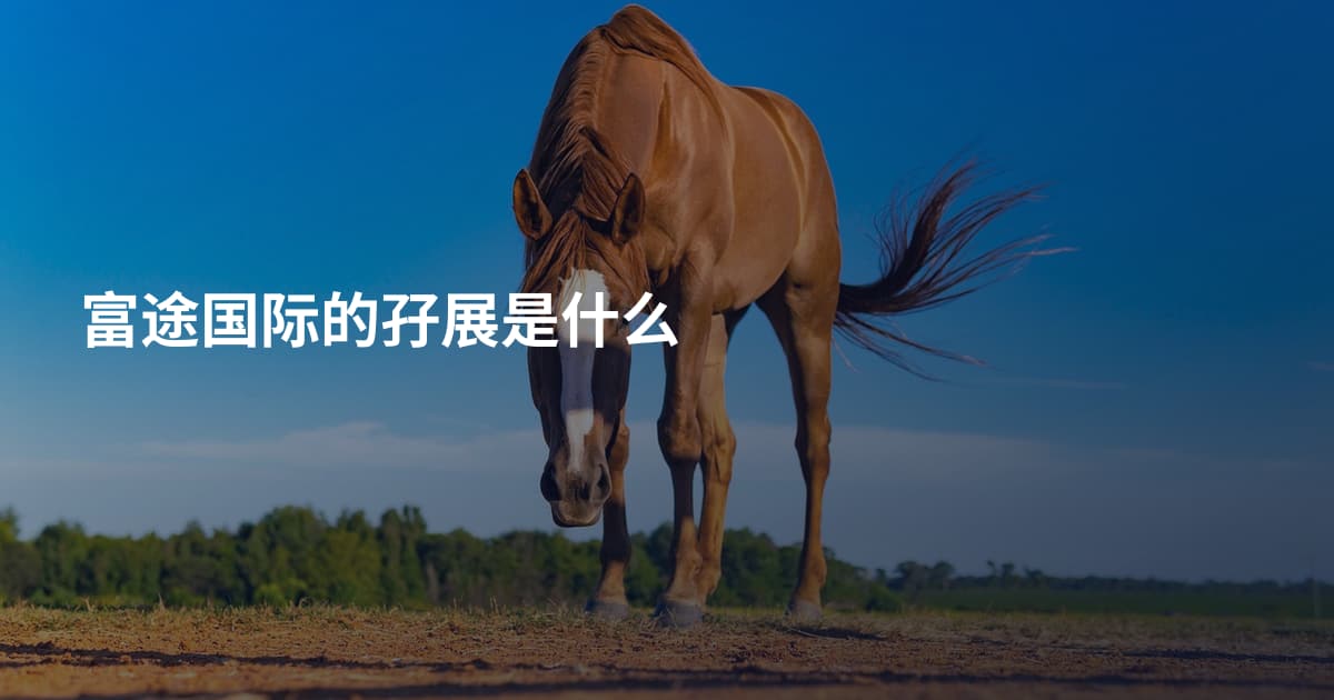 富途国际的孖展是什么