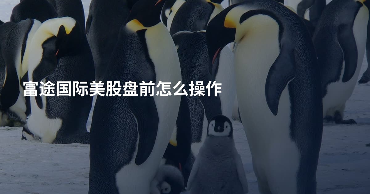 富途国际美股盘前怎么操作