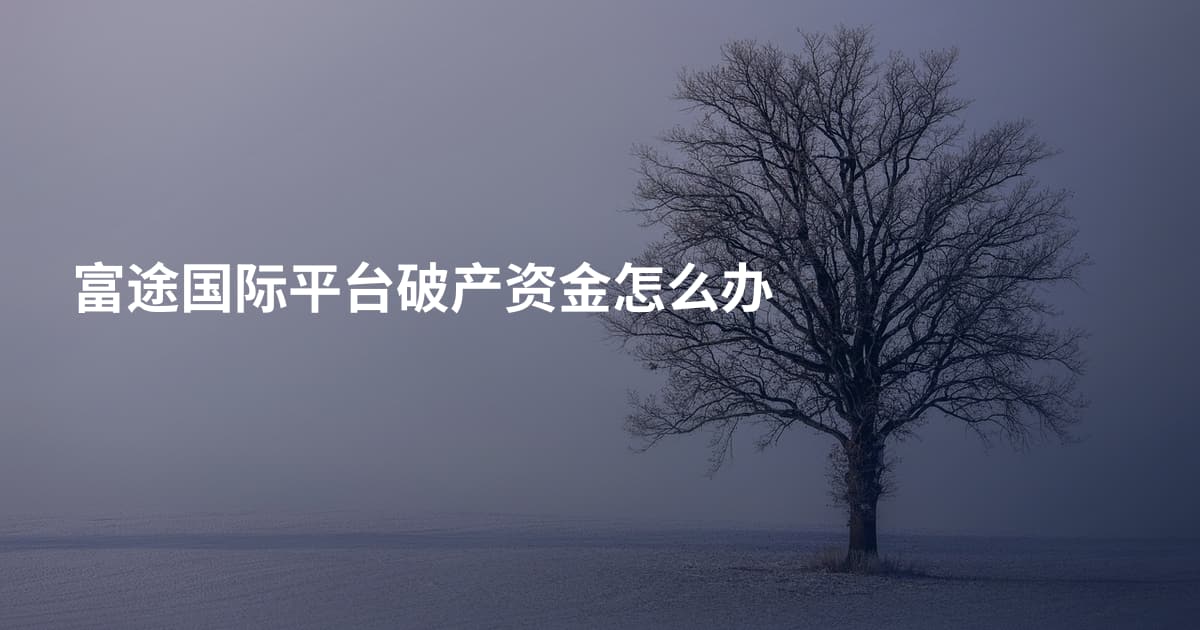 富途国际平台破产资金怎么办
