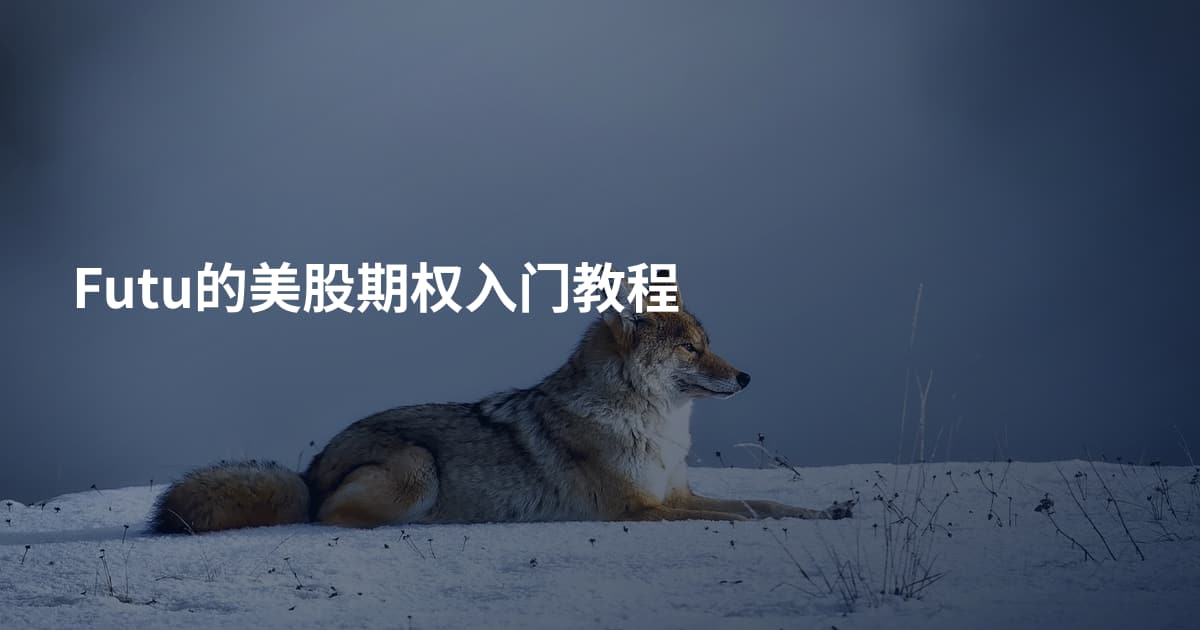 Futu的美股期权入门教程