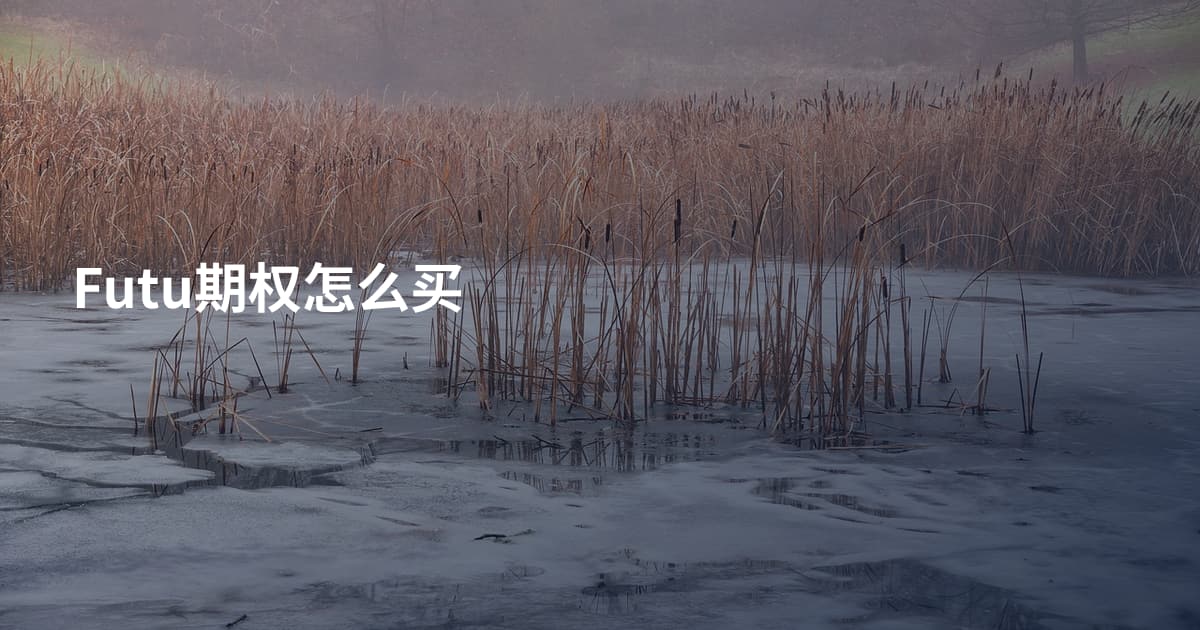 Futu期权怎么买