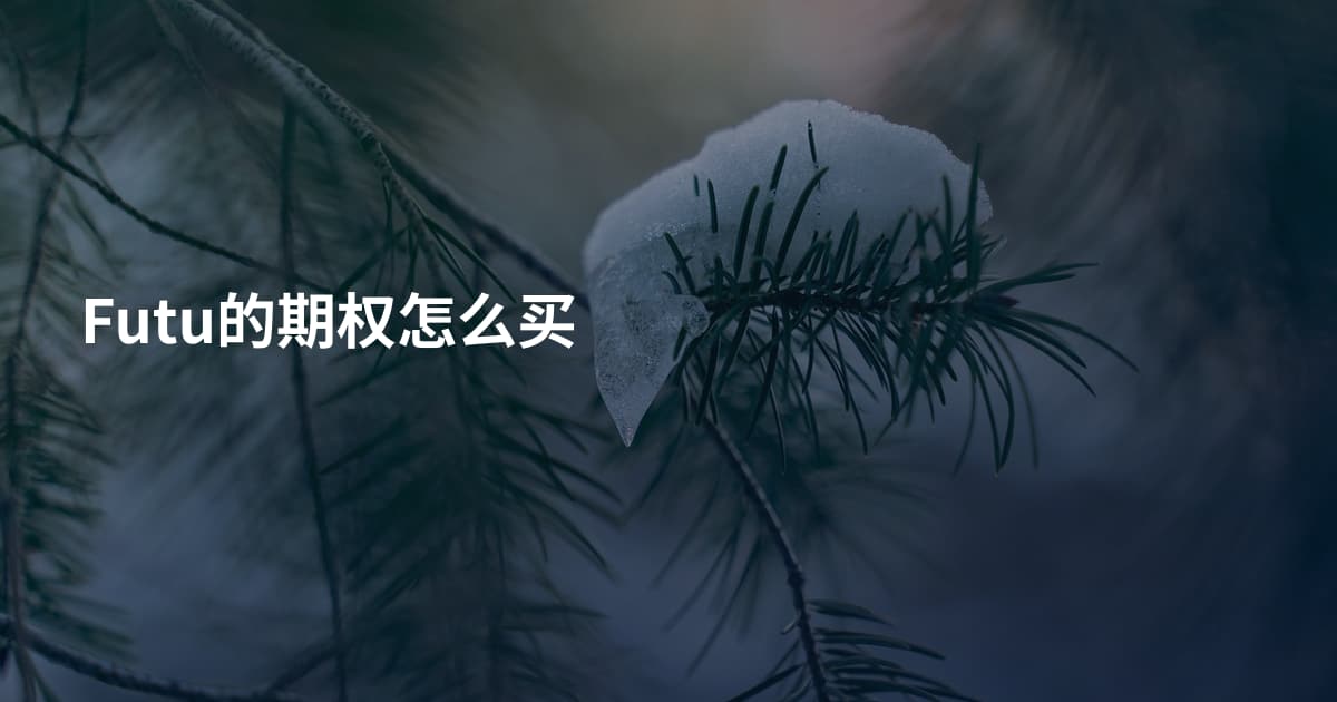 Futu的期权怎么买