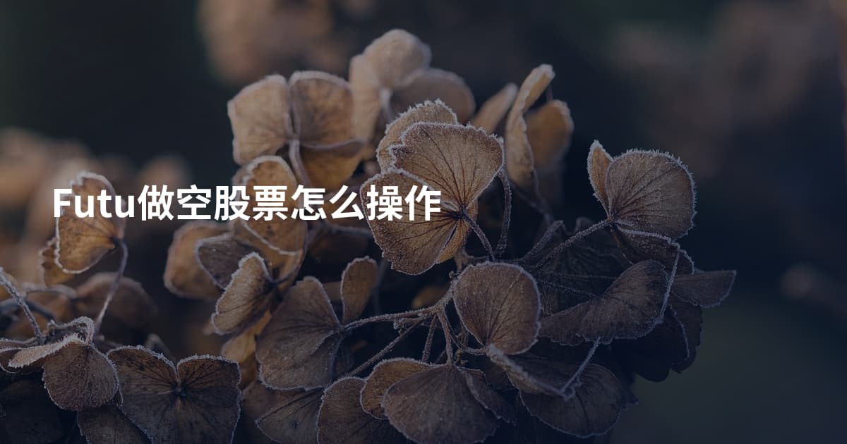Futu做空股票怎么操作