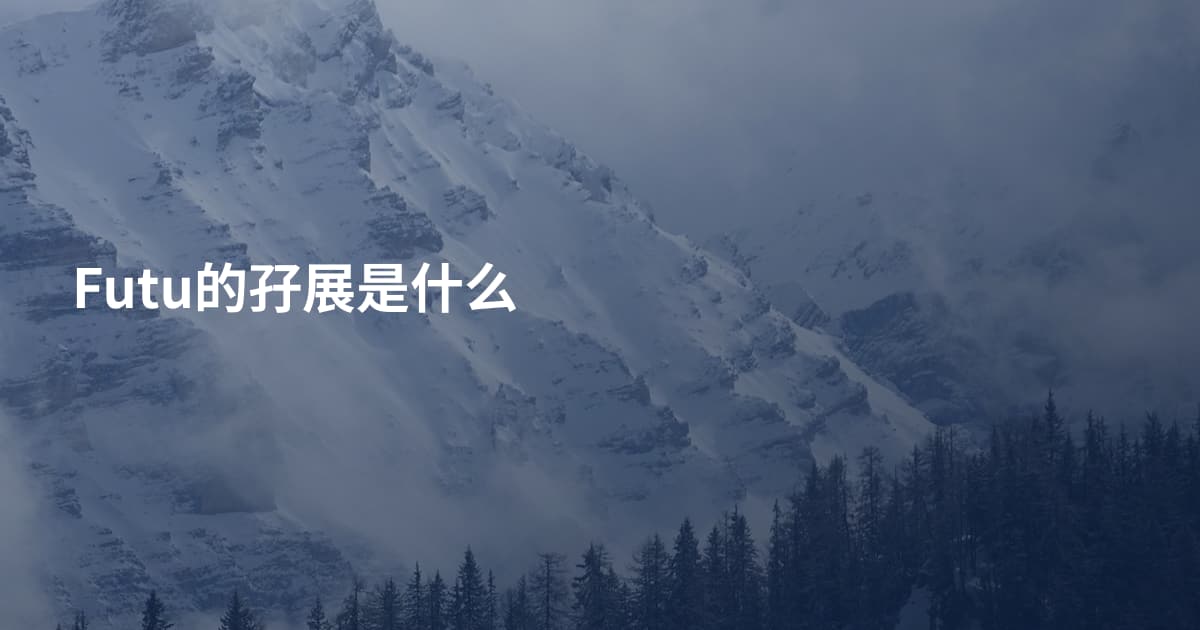 Futu的孖展是什么