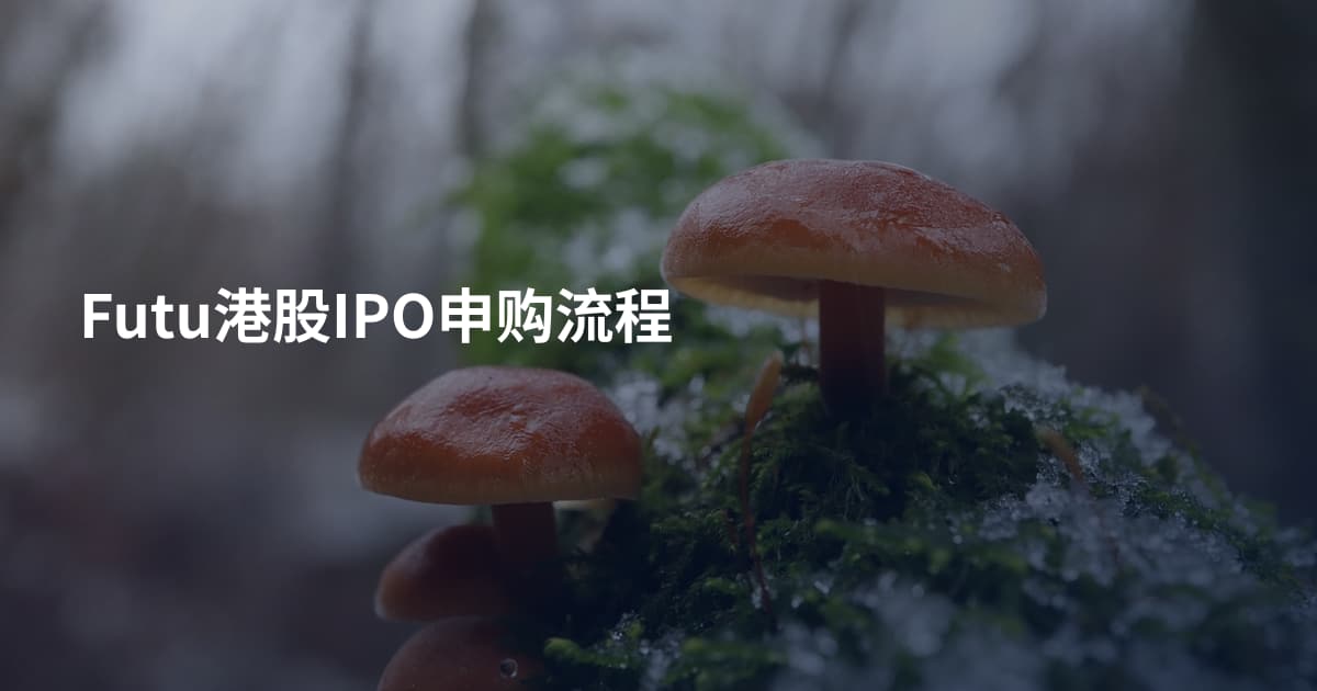 Futu港股IPO申购流程